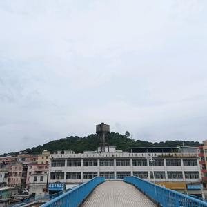 逐梦电摩牛马上班版广东鸡脚菜上班外卖打工头像