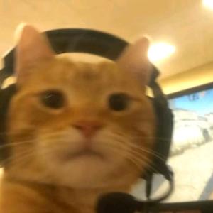 暗区突围PC墨染头像