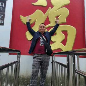 木秀于林风必催之头像