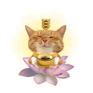 你没有我高头像