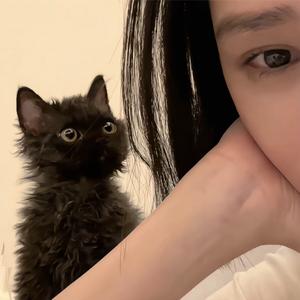 Wa•͈ᴗ⁃͈ ✧ng头像