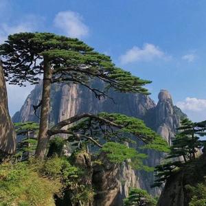 生活更美好头像