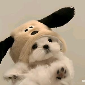 长沙最好包租婆周姐头像