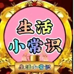 胖胖小常识头像