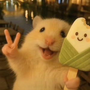 海岛奇兵-神明(零帧)头像