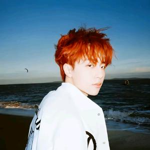 精灵宝可梦头像