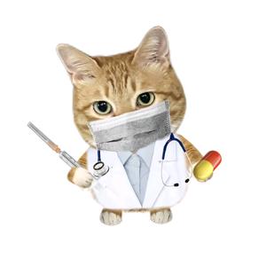 不说谎的匹诺曹头像