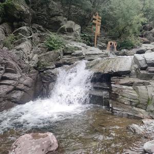 最初的粉色李小芬头像