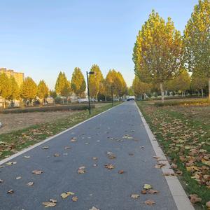 夭夭妈暖心记头像