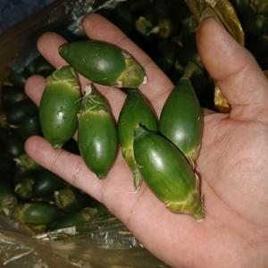 昌红槟榔批发店头像