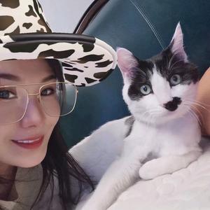 喵小姐头像