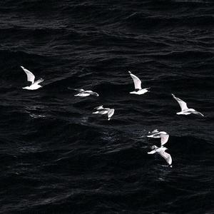 晚风吹人醒头像