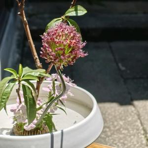 中山纸扎打工人头像