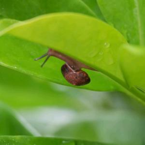 乡见未来-通讯员头像