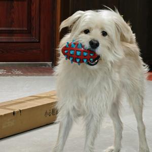 ㅤㅤㅤㅤㅤ头像