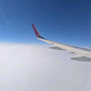 葡萄酒宝藏供应链头像