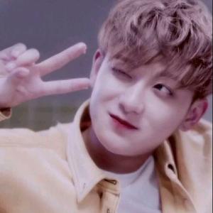 韬韬好物分享👌🏻头像