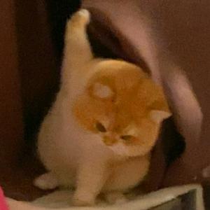 一点都不晚头像