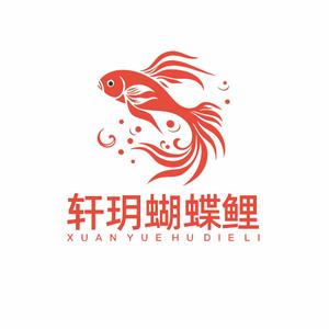 淄博轩玥蝴蝶鲤繁殖厂（直播号）头像