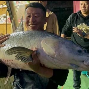 贾大师钓技分享头像