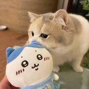 糅柒祁林子ヅ头像