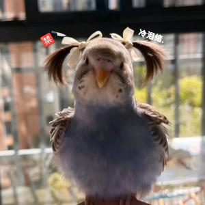 秦文龙是我宝宝~🍀秦头像