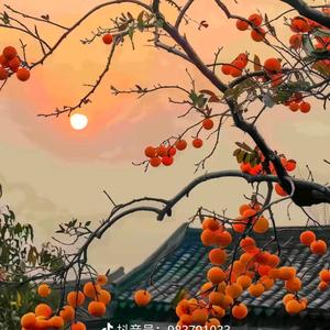 豆芽菜菜~勿连赞头像