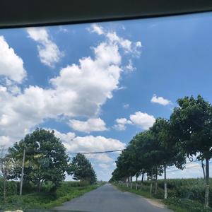 宇轩阁优选头像