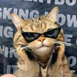 学习就是进步头像