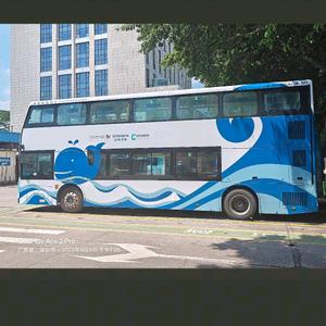 蓝鲸鱼复古双层k8S(M191)头像