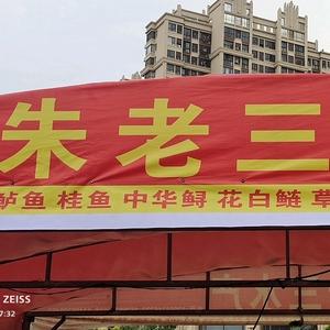 朱老三水产头像