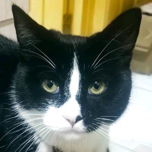 网友孙思妙头像