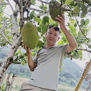 太阳雨太阳能应希波头像