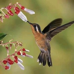 动静由心20251020头像