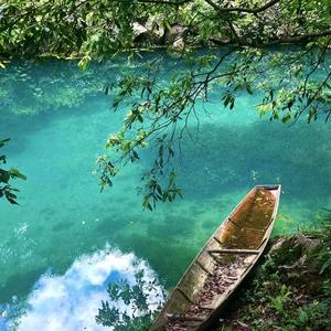 李老师数学课堂头像