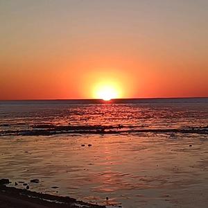 @ 🍀温柔小仙女🧚‍♂️头像