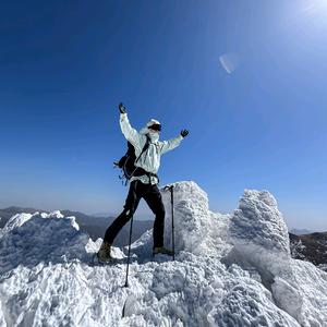 牛马三明治头像