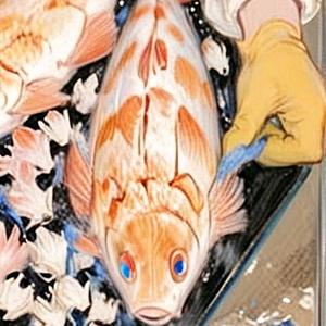 不杀鱼的娱贩头像