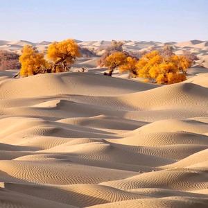 闲庭信步@168头像