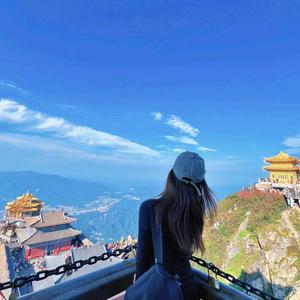 河南导游晴晴（旅游接待）头像