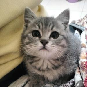 🐍⁰³.₁₃吴℘࿐可替代头像