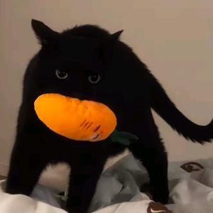 小猫拿裤衩做披萨头像