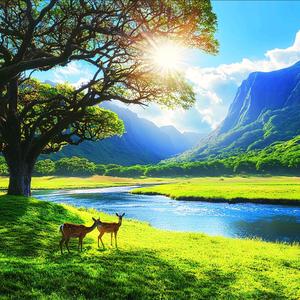 🍎🍊壹玖玖玖头像