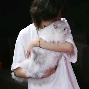 🙈小张同学🪁（小no天下第一）头像