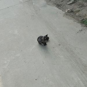 用户5613671863562头像