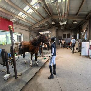 哼哼爱吃桂源头像