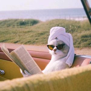 小魚冻干♡๑๑头像