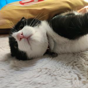 乐乐呵呵😁头像