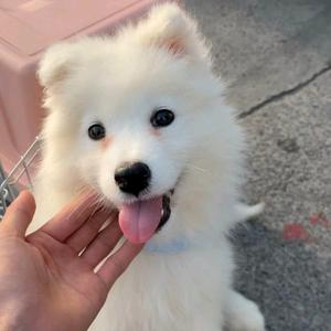 ୧(๑•̀⌄•́๑)૭头像