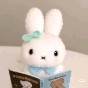 🧸·˚🧸 ·˚头像